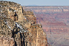 Grand Canyon Wall View photo thumbnail