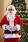 Santa Standing in Front of Christmas Tree photo thumbnail